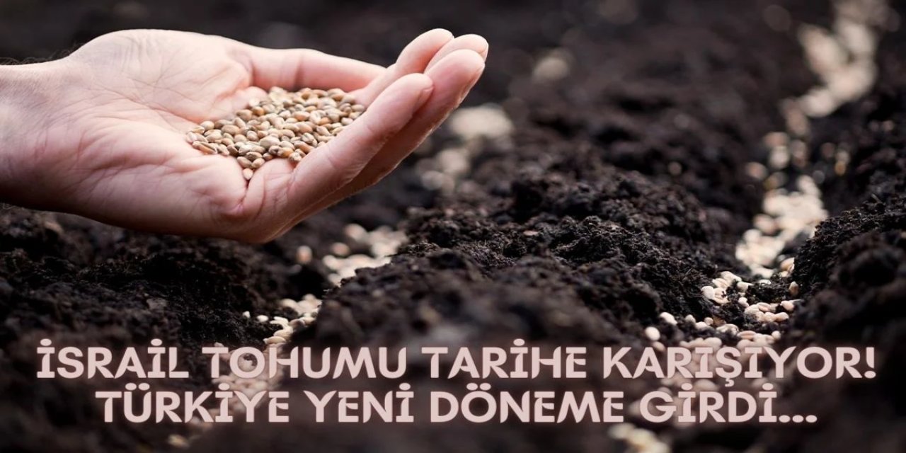 Tarımda İsrail Tohumuna Son: Buğday, Domates'te Türk Tohumu Dönemi Başlıyor